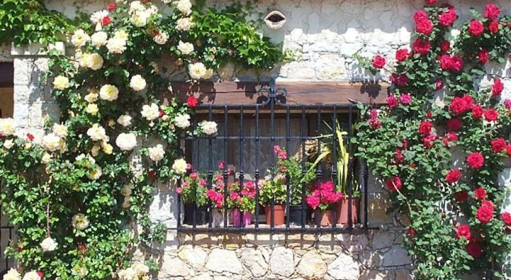 Castel Garoupe 호텔 앙티브